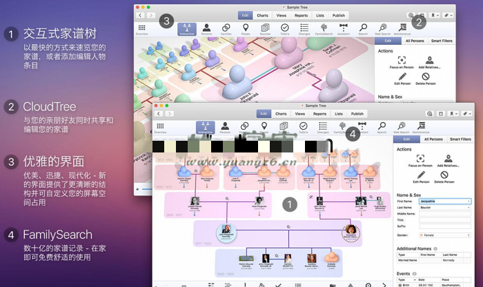 MacFamilyTree 10 for Mac v10.1.1 中文破解版 家谱制作软件