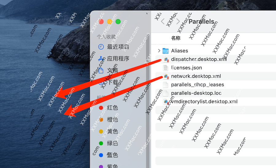 解决 Parallels Desktop 16 在 Big Sur 以上系统无法联网等问题